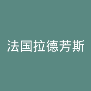 法国拉德芳斯区新凯旋门官网