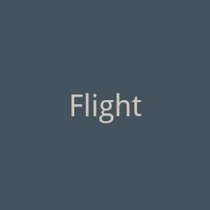 FlightFox官网