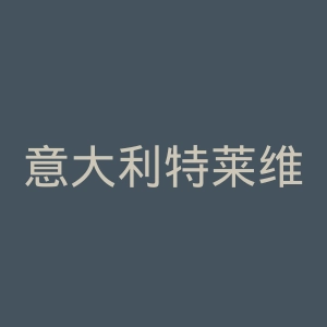 意大利特莱维喷泉官网