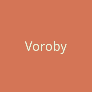 Vorobyovy-Gory官网