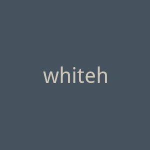 whitehouse美国白宫官网