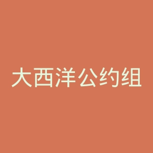 大西洋公约组织官网