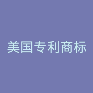 美国专利商标局官网