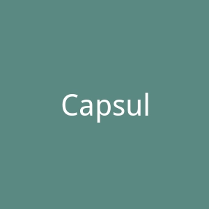 Capsule Dog Design官网