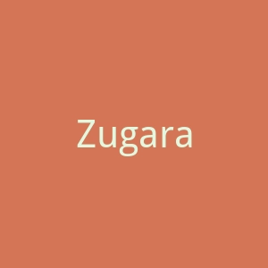 Zugara官网