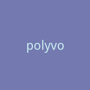 polyvore官网