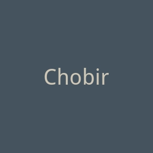 Chobirich官网