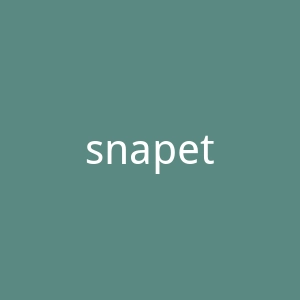 snapette官网