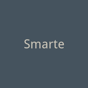 Smarter官网