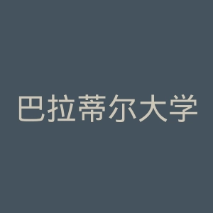 巴拉蒂尔大学RVS学院官网