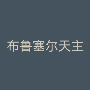 布鲁塞尔天主教大学官网