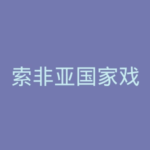 索非亚国家戏曲影视艺术科学院官网