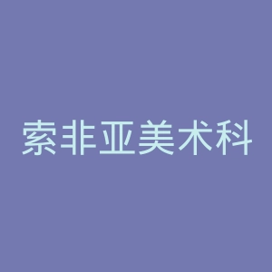 索非亚美术科学院官网