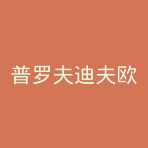 普罗夫迪夫欧洲经济管理学校官网