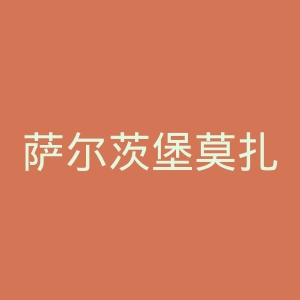 萨尔茨堡莫扎特音乐大学官网