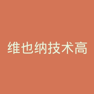 维也纳技术高等专业学院官网