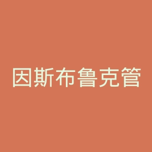 因斯布鲁克管理中心官网