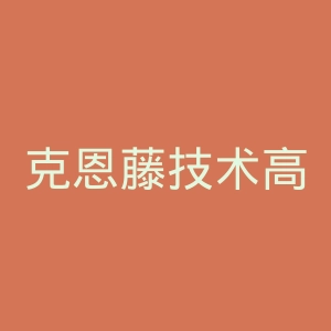 克恩藤技术高等专业学院官网