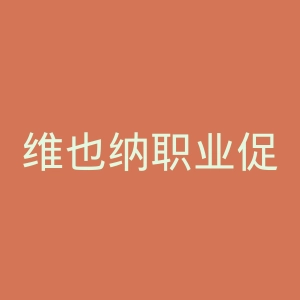 维也纳职业促进高等专业学院官网