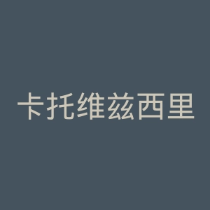卡托维兹西里西亚大学官网