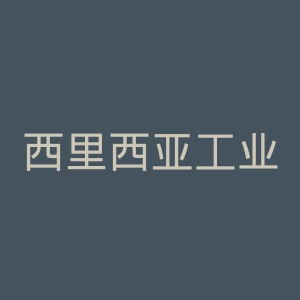 西里西亚工业大学官网