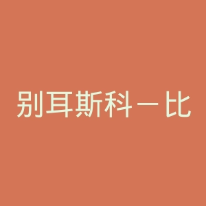 别耳斯科－比亚瓦技术人文学院官网