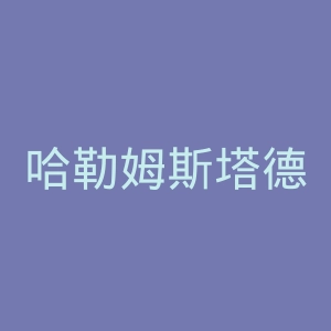 哈勒姆斯塔德大学院官网