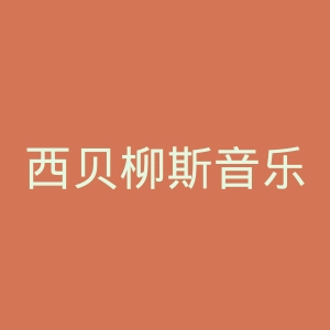 西贝柳斯音乐学院官网