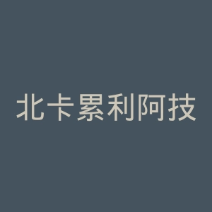 北卡累利阿技术学院官网
