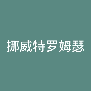 挪威特罗姆瑟大学官网