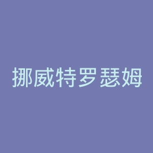 挪威特罗瑟姆学院官网